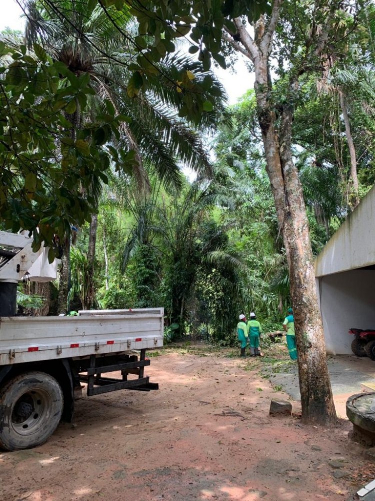 Funcionários fizeram a poda das árvores próximas as áreas comuns - Foto: Ascom Sudes