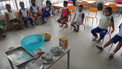 Photo of Durante ação educativa nas creches, crianças produzem e degustam alimentação escolar