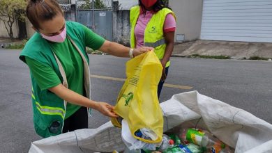 Photo of Dia da Reciclagem: cooperativas da capital recolhem mais de 120 toneladas de recicláveis por mês