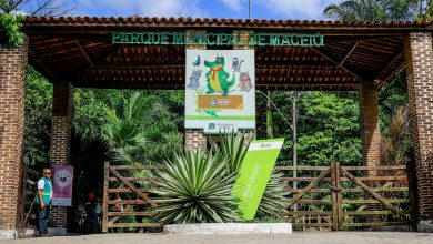Photo of Após manutenção, trilhas do Parque Municipal de Maceió serão reabertas nesta quarta-feira (18)