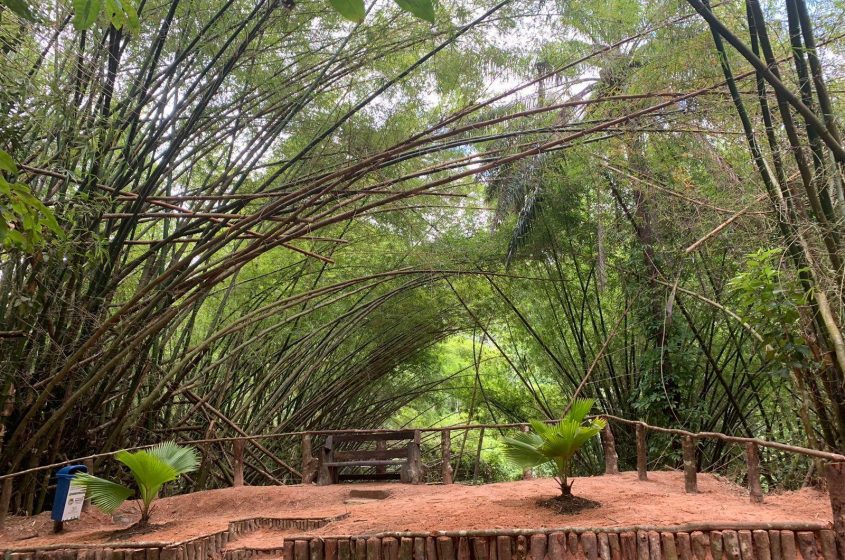 Serviços realizados visam preservar a segurança dos visitantes. Foto: Ascom Sudes